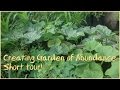 Creating Gardens of Abundance - Short Tour!