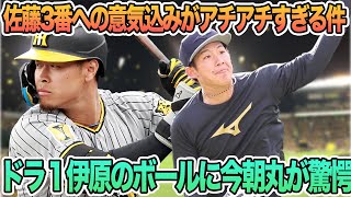 【佐藤3番への意気込みがアチアチすぎる件】ドラ1伊原のボールに今朝丸驚愕、　村上　MVPフォーム取り戻す伊藤　フォーム改善＆超速仕上げ　　阪神タイガース　阪神　藤川監督　藤川球児　3番佐藤