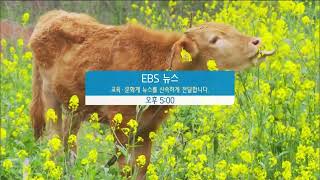 [ EBS 1TV ] 2021/01/01 방송시작영상