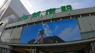 新宿駅構内散策 • 世界で最も混雑している駅 • 東京探訪 • 4K