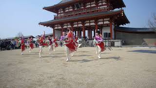 よさこいチーム「花柳」平城宮跡歴史公園イベント　朱雀