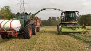 Chopping Triticale in New Jersey