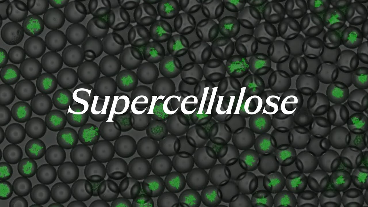 Supercellulose Youtube