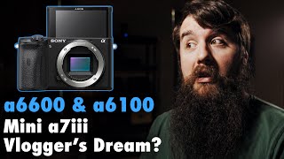 Sony a6600: I've never had such mixed feelings about a camera!