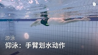 手臂划水动作 | 学习仰泳