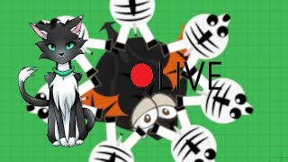 Mope Io Trolling Murdering Dragons With Crocodile Zebra And