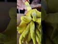 top 5 strangest fruit 2 shorts