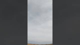 J-20 RAPTOR 2.4ghz 4ch rc plane doing rolls .Bought from TEMU link in description