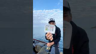 Кефаль на бомбарду #reels #shorts #fishing #рыбалка #сочи #sochi #шортс #fish #sea #море