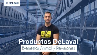 DeLaval | Bienestar animal y mantenimiento en granjas de ovino