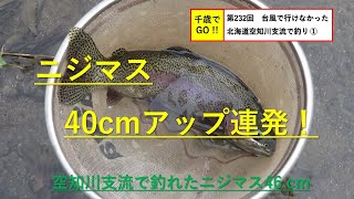 千歳でGO!! 第232回　台風で行けなかった北海道空知川支流で釣りました。良型ニジマスが連続で釣れました。