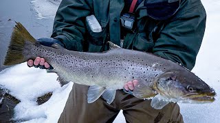 Pirmas šlakis 2023/ First sea trout on 2023