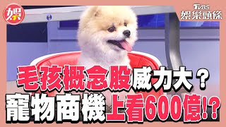 毛孩概念股威力大？寵物商機上看600億！？｜TVBS娛樂頭條  @tvbsforfun