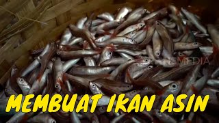 Kepoin Proses Pembuatan Ikan Asin | BOCAH PETUALANG (03/01/22)