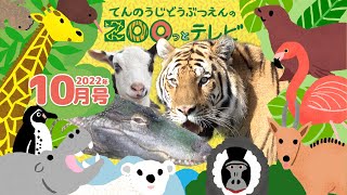 第4回てんのうじどうぶつえんのZOOっとテレビ ｜ 公式HPでプレゼント企画実施中！ 天王寺動物園｜2022.10月1日放送