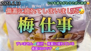 オイシックス『梅レモンシロップ』‼️備蓄に疲れて【梅仕事】これで元気出すゾー❤️