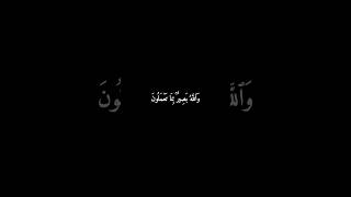 سورة ق | ق ۚ وَالْقُرْآنِ الْمَجِيدِ #المنشاوي #قرآن #سورة_ق #شاشه_سوداء