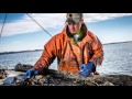 maryland seafood from the oyster recovery program