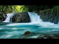 soothing piano music 🍃 soothing melodious music sleep music 🌿 relieve stress