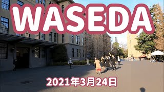 【早稲田大学】散歩/校歌/2021年3月24日