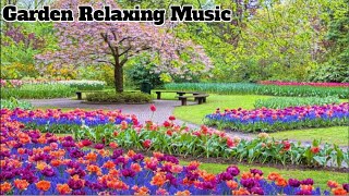 Music for rest and recovery of the body For sleep Relaxation after a working day Therapy insomniac,S