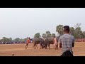 aamgachi vs kalda semifinal jitpur place kada ladai