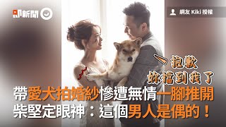 帶愛犬拍婚紗慘遭一腳無情推開　柴犬眼神堅定：這男人是偶的｜寵物｜狗｜第三者