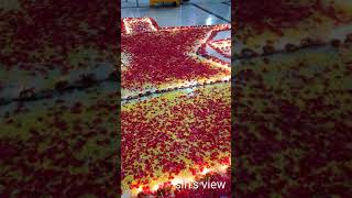 #shorts //Saibaba Temple Spl Puja,Devarakonda //siri's view