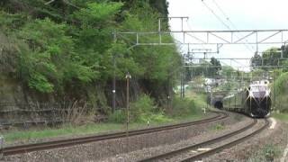 2008.5.3　E655系「なごみ（和）」団臨とED75貨物／東北本線