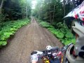 beautiful forest road in romania husqvarna wr 250 2t