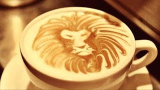 Coffee is NOT for Carnivores!