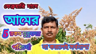 ফেব্রুয়ারি মাসে 5 প্রকার  আমের মুকুলের পরিচর্যা কিভাবে করবেন ?🥭#How to 5 type mango flowers care?🥭#