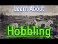 How Does Hobbling Look? | How to Say Hobbling in English? | What is Hobbling?