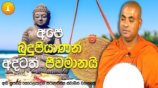 නිවැරදිව භාග්‍යවතුන් වහන්සේ සරණ යන්නේ කෙසේද? | සතිපට්ඨාන ධර්ම දේශනා (𝟎𝟏)