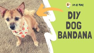 DIY Dog Bandana: How to Make a Homemade Pup Bandana!