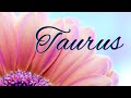 Taurus BONUS🌷Your Next Romantic Partner🌷New Love Reading