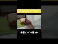 豆柴をダメにしてしまうソファｗ shorts