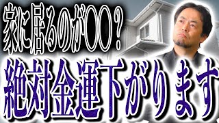 あなたの盲点かも！幸運を引き寄せるための家の使い方