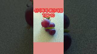 세계에서 가장 신기하게 생긴 과일 TOP 10 #쇼츠 #랭킹 #신기하게생긴과일 #특이하게생긴과일