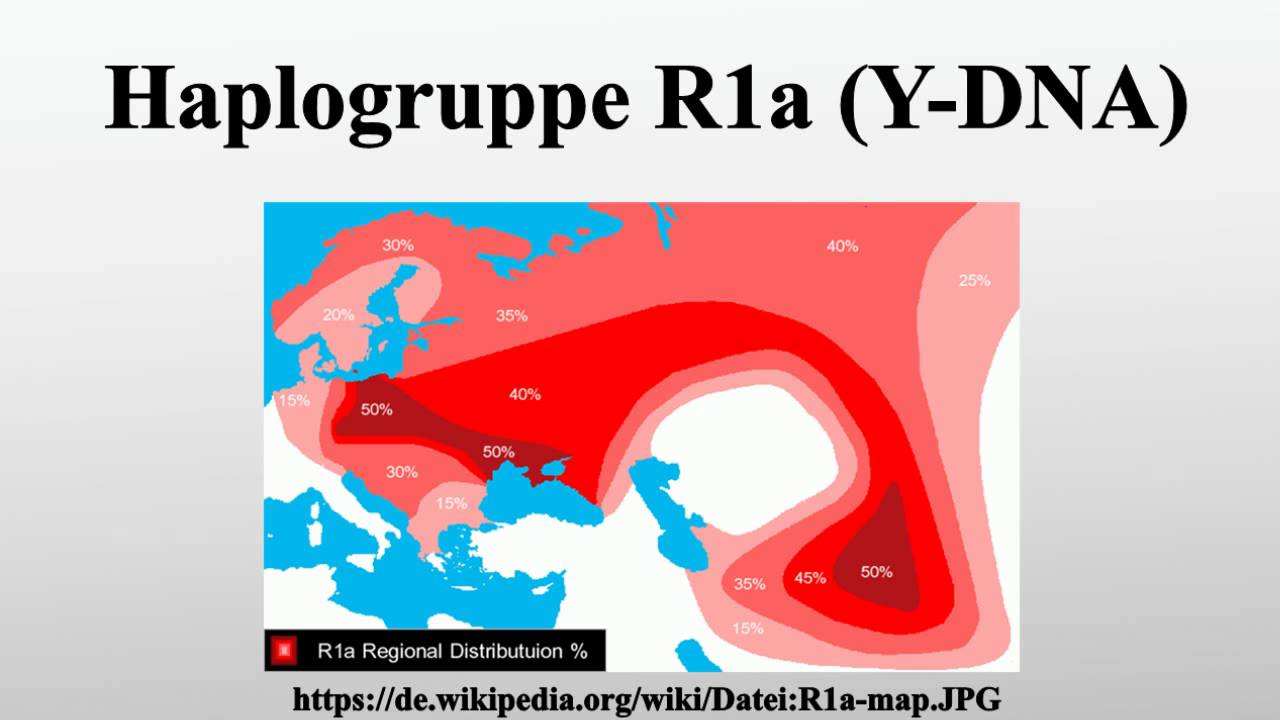 Haplogruppe R1a (Y-DNA) - YouTube