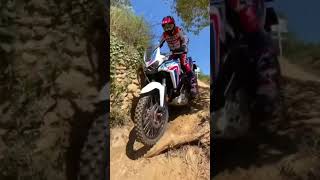 2025 HONDA AFRICA TWIN