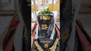 Kadhili papahareshwara swamy gudi #mahadev#🌷🙏🙏🌷