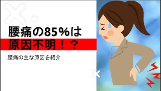 【腰痛】驚愕！腰痛の85％は原因不明！？　腰痛の主な原因・病名紹介