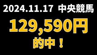 【129590円的中】中央競馬 2024年11月17日【AI予想払い戻し】