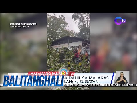 Puno, bumagsak dahil sa malakas na hangin at ulan; 4, sugatan Balitanghali