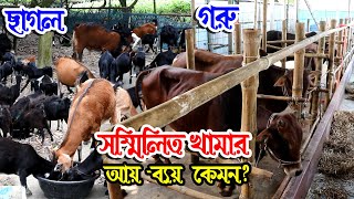 ছাগল পালন ও গরু মোটাতাজাকরণ সম্মিলিত খামার | ছাগলের খামার এবং গরুর খামারের আয়-ব্যয় কেমন