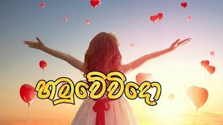 Hamuwevido (හමුවේවිදෝ) - Nadeera Nonis New Song 2019 | cartoon version