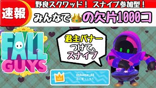 【スナイプ  参加型】目指せみんなで👑欠片1000個！野良スクワッド！耐久配信【FallGuys  フォールガイズ】