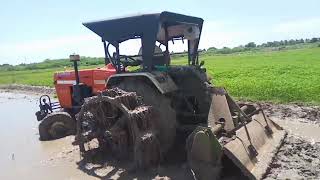 நாற்று நடுதல் முறையில் நெல் விவசாயம்/Gramavasi/Paddy cultivation in seedling planting system/village