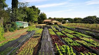 Huerta Orgánica Comercial en Otoño, con Fernando García de Vinuesa